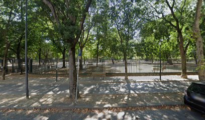 Area Cani Campo di Marte