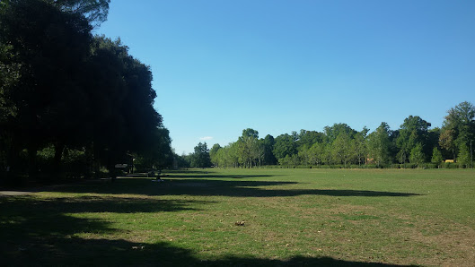 Area Cani Cascine