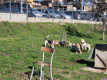 Area Cani Casoria