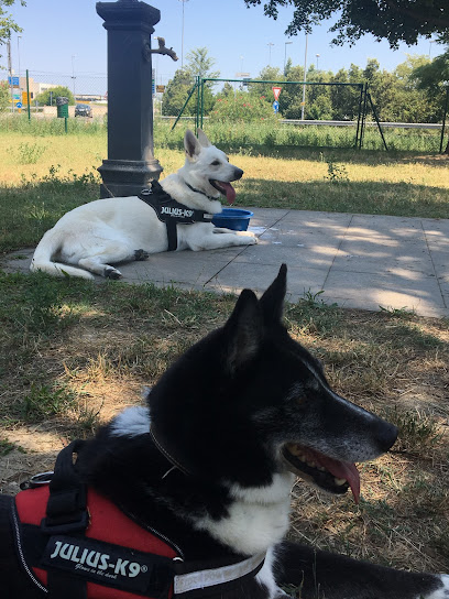 Area Cani Cesena Nord