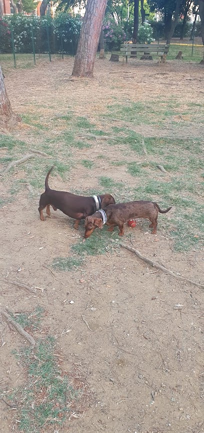 Area Cani Di Colline