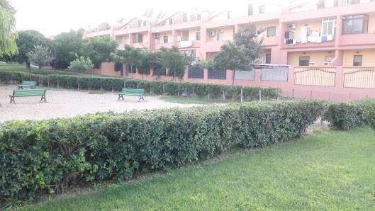 Area Cani Di Via Fellini