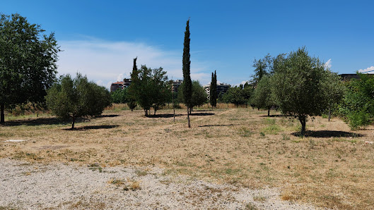 Area Cani Eur Castellaccio