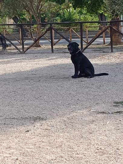 Area Cani Fracastoro