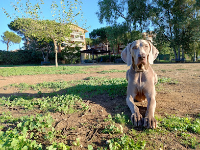 Area Cani Gregorio XI