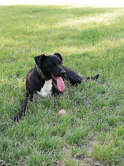 Area Cani Libera Lungo Talvera