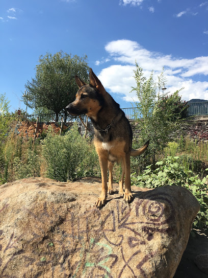 Area Cani Lungo Isarco