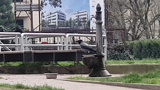 Area Cani Monza - A.Vacca