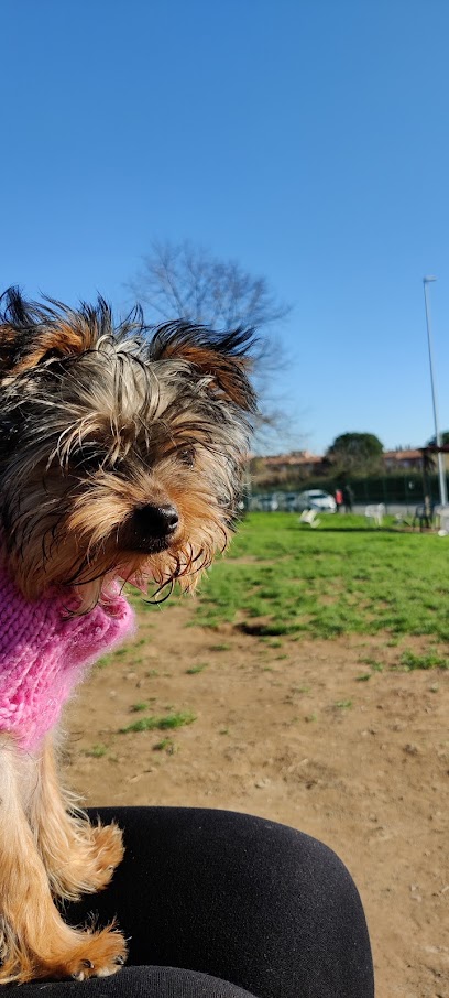 Area Cani Ottavia
