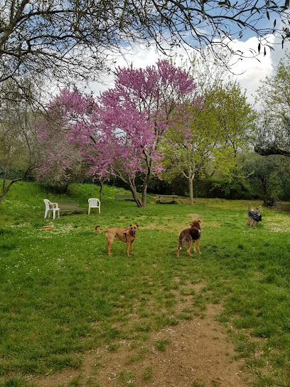 Area Cani Pettini Burresi