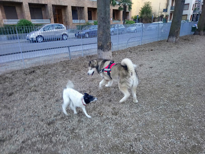 Area Cani Vaccarino Alberto