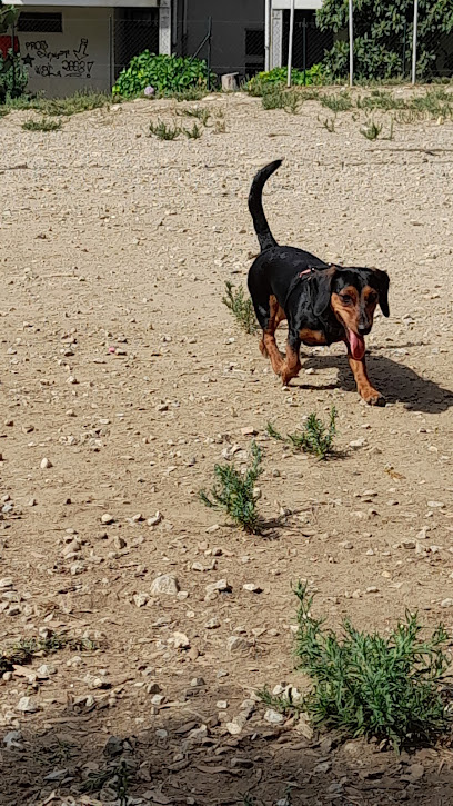 Area Cani Via Buongiorno