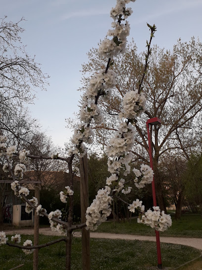 Area Cani del Parco Bizzozzero