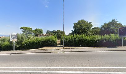 Area Cani di Via Clemente IX