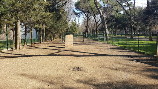 Area Cani di Viale Malta