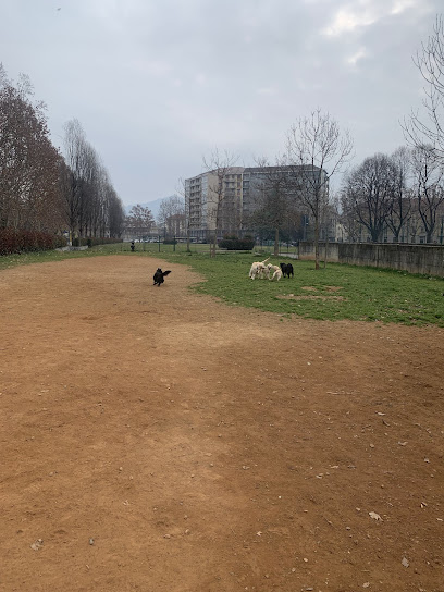 Area Cani la clessidra