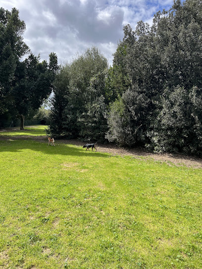 Area Canina Terramaini