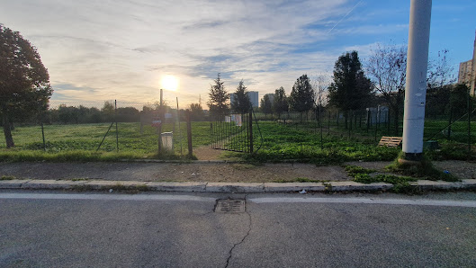 Area Ludica Cani Largo Labia