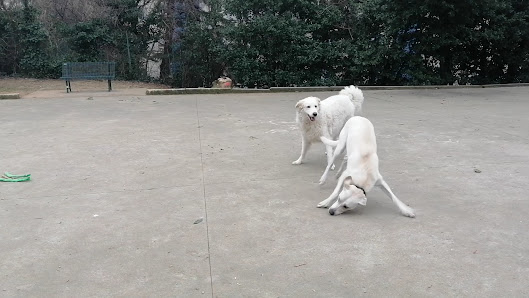 Area Per Cani Liberi