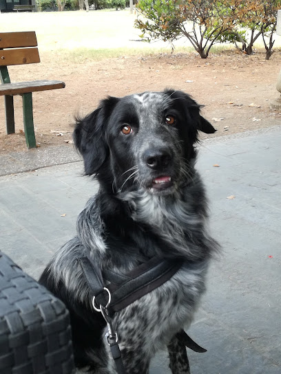Area Recintata per Cani del Parco di Piazzale Lubiana