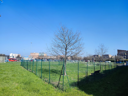 Area Recintata per Cani