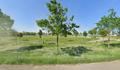 Area Sgambamento Cani - Carraie