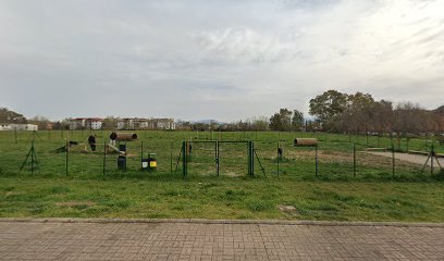 Area Sgambamento Cani a Nuova Latina