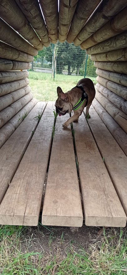 Area Sgambamento Cani di Parco San Marco