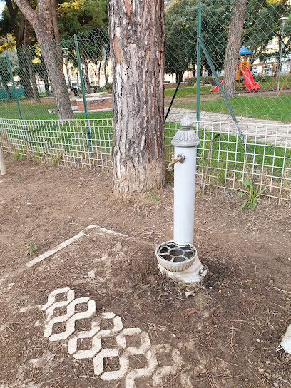 Area Sgambamento Cani