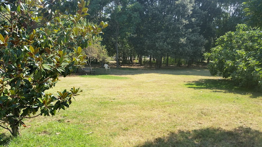 Area Sgambatura Cani