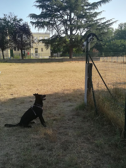 Area Sgambettamento Cani Montebolone