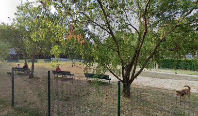 Area cani - Maciachini