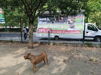 Area cani - Napoli 1