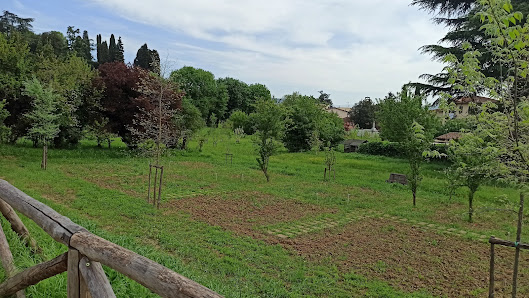 Area cani - Villa di Rusciano
