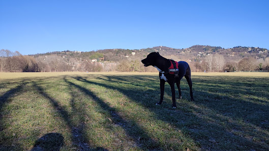 Area cani - parco Vallere