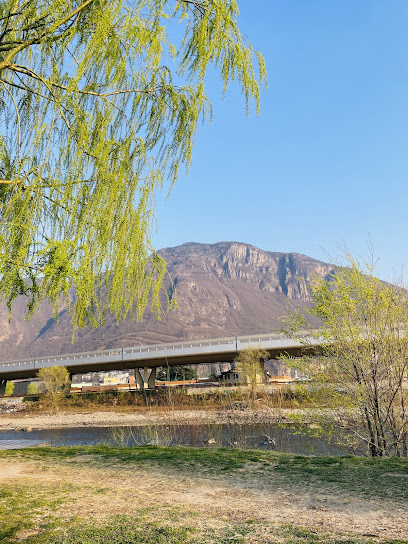 Area cani - via Genova