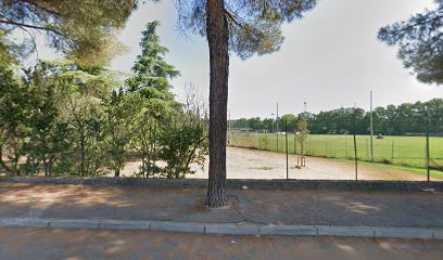 Area cani 1 - Cimitero B. Roma