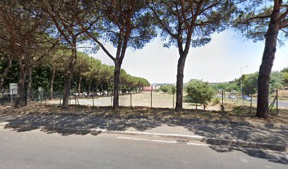 Area cani Monteruscello