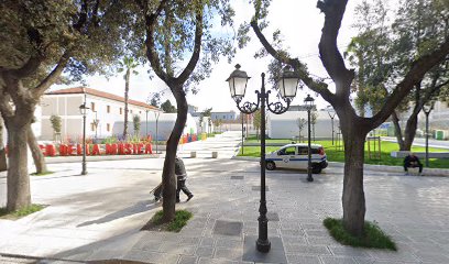 Area cani Parco della Musica