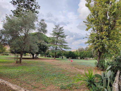 Area cani Parco della Speranza