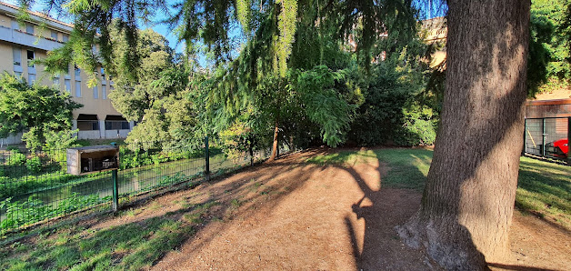 Area cani Ponte Molino