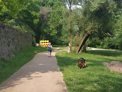 Area cani Ponte Roma