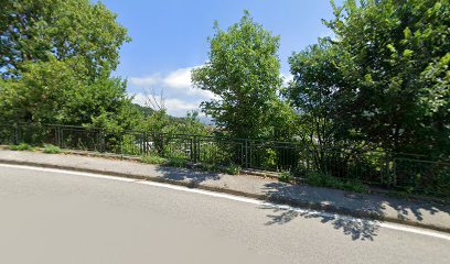 Area cani San Biagio
