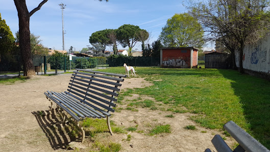Area cani San Giusto