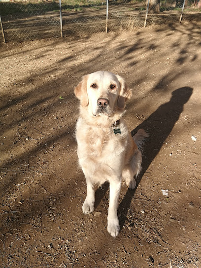 Area cani Via Giovanni Caselli