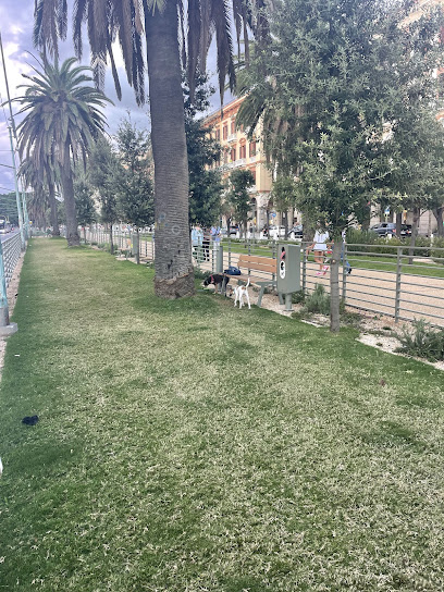 Area cani Via Roma