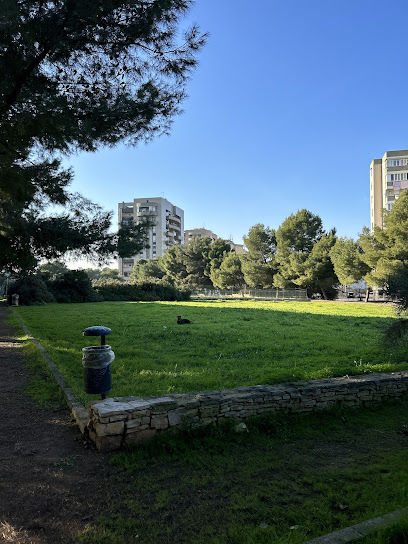 Area cani Via Suglia - Parco Annoscia