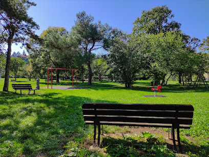 Area cani Villa Carsia