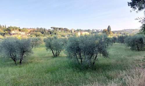 Area cani del Boschetto