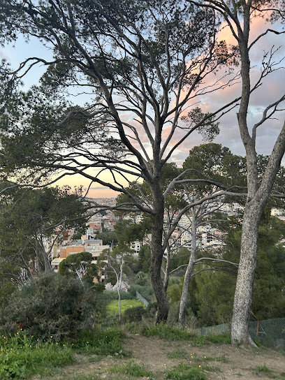 Area cani del Parco di Monte Urpinu